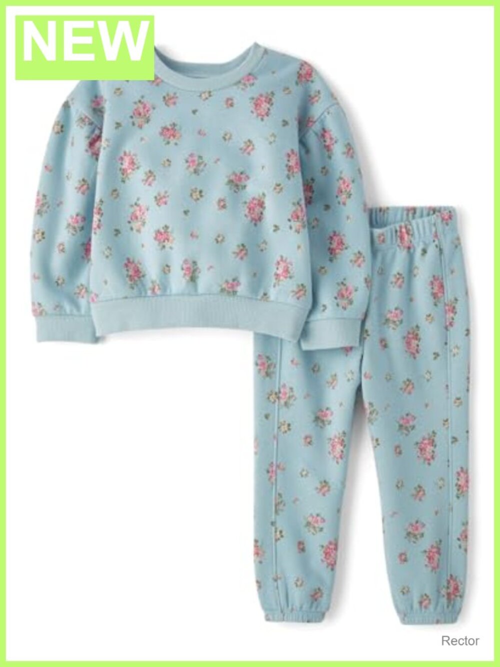 Toddler Girls 2 Piece Sweatsuit Long Sleeve Crewneck Jogger Set